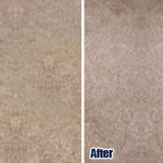 Bleach Spots Los Angeles CA